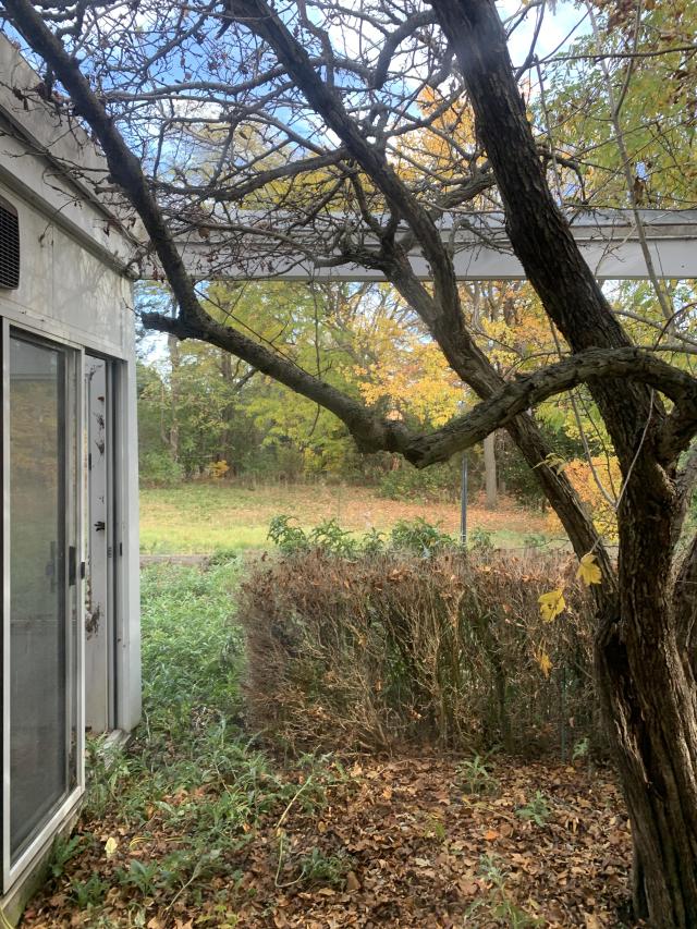 Moved Out or About to Move In? - F4DD9859-E824-4538-9FAA-8D3915A15A97.jpeg