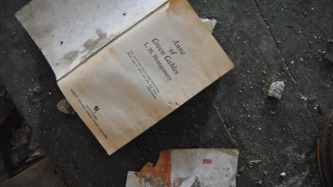 Falling In And Out - March 2013 - DSC_0164.JPG