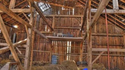 Tire swing - North-Oakville-farm191.jpg