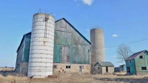 Tire swing - North-Oakville-farm182.jpg