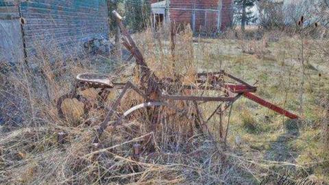 Tire swing - North-Oakville-farm193.jpg