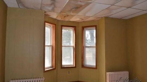 Tire swing - North-Oakville-farm194.jpg