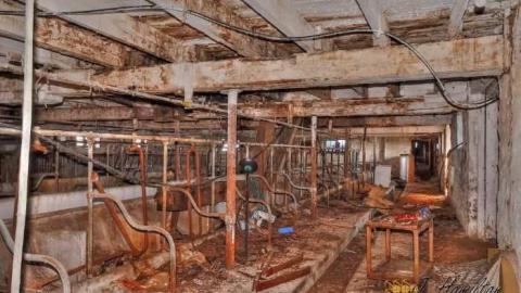 Tire swing - North-Oakville-farm195.jpg