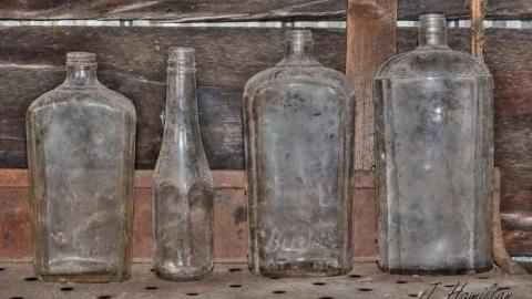 Tire swing - North-Oakville-farm186.jpg