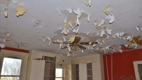 Tire swing - North-Oakville-farm196.jpg