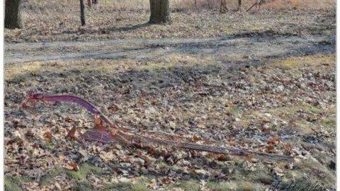 Tire swing - North-Oakville-farm187.jpg