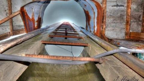 Tire swing - North-Oakville-farm197.jpg