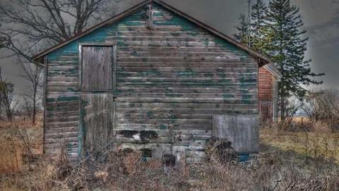 Tire swing - North-Oakville-farm188.jpg