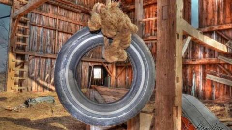 Tire swing - North-Oakville-farm199.jpg