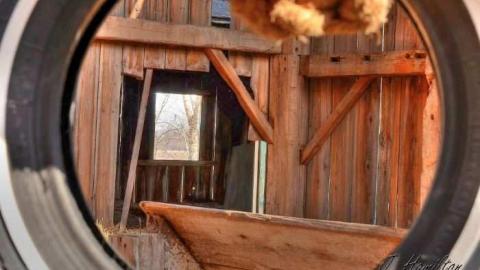 Tire swing - North-Oakville-farm190.jpg