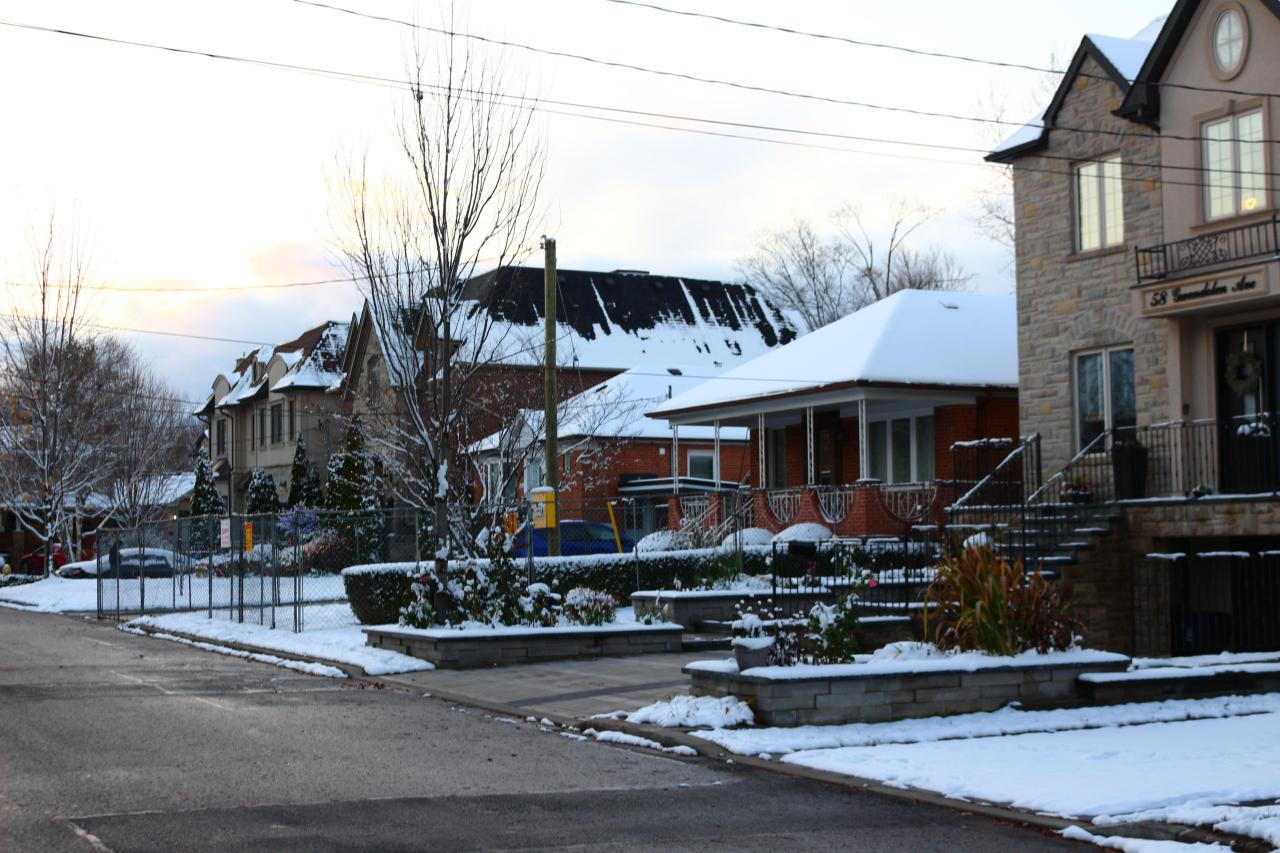 Digging Down - IMG_5908.JPG