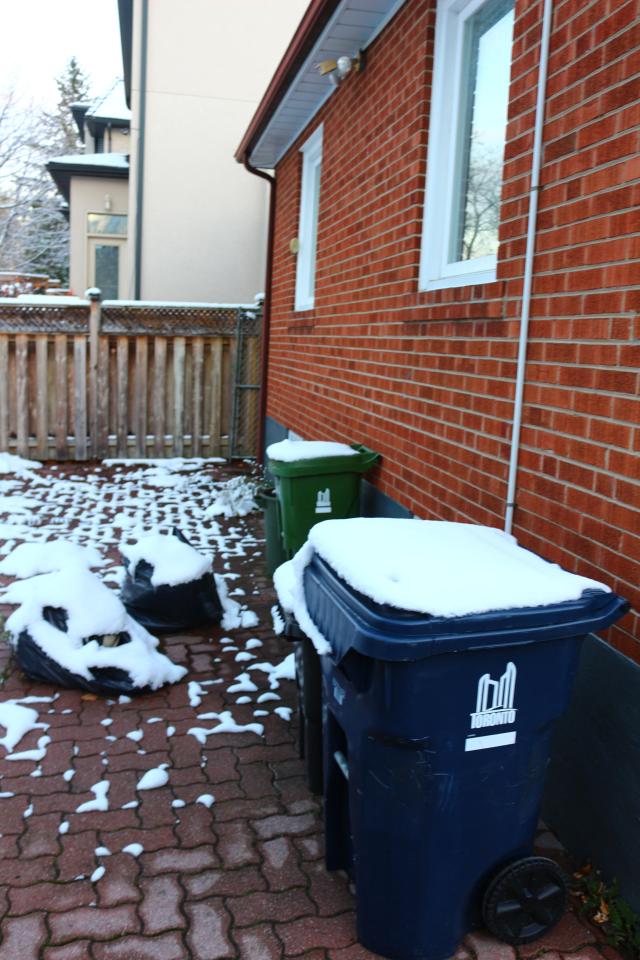 Digging Down - IMG_5916.JPG