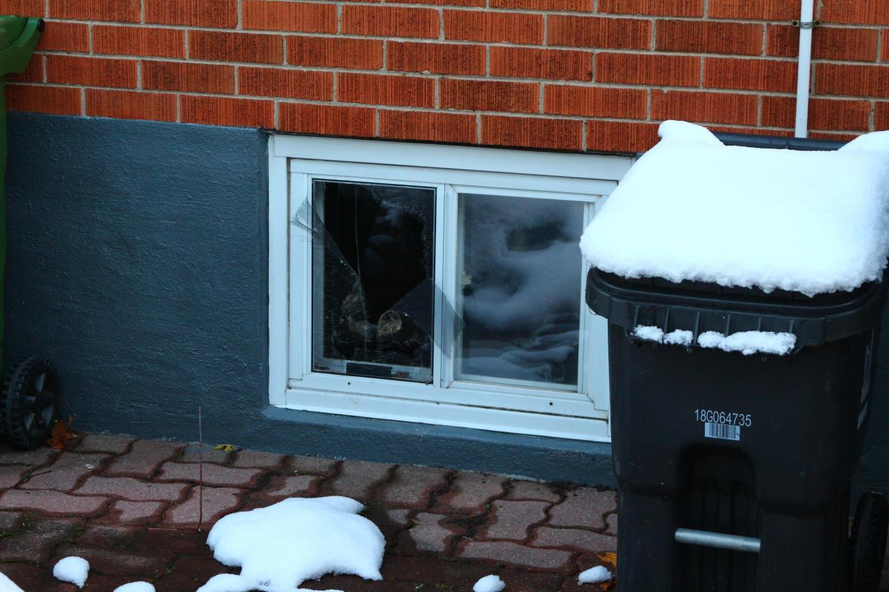 Digging Down - IMG_5922.JPG