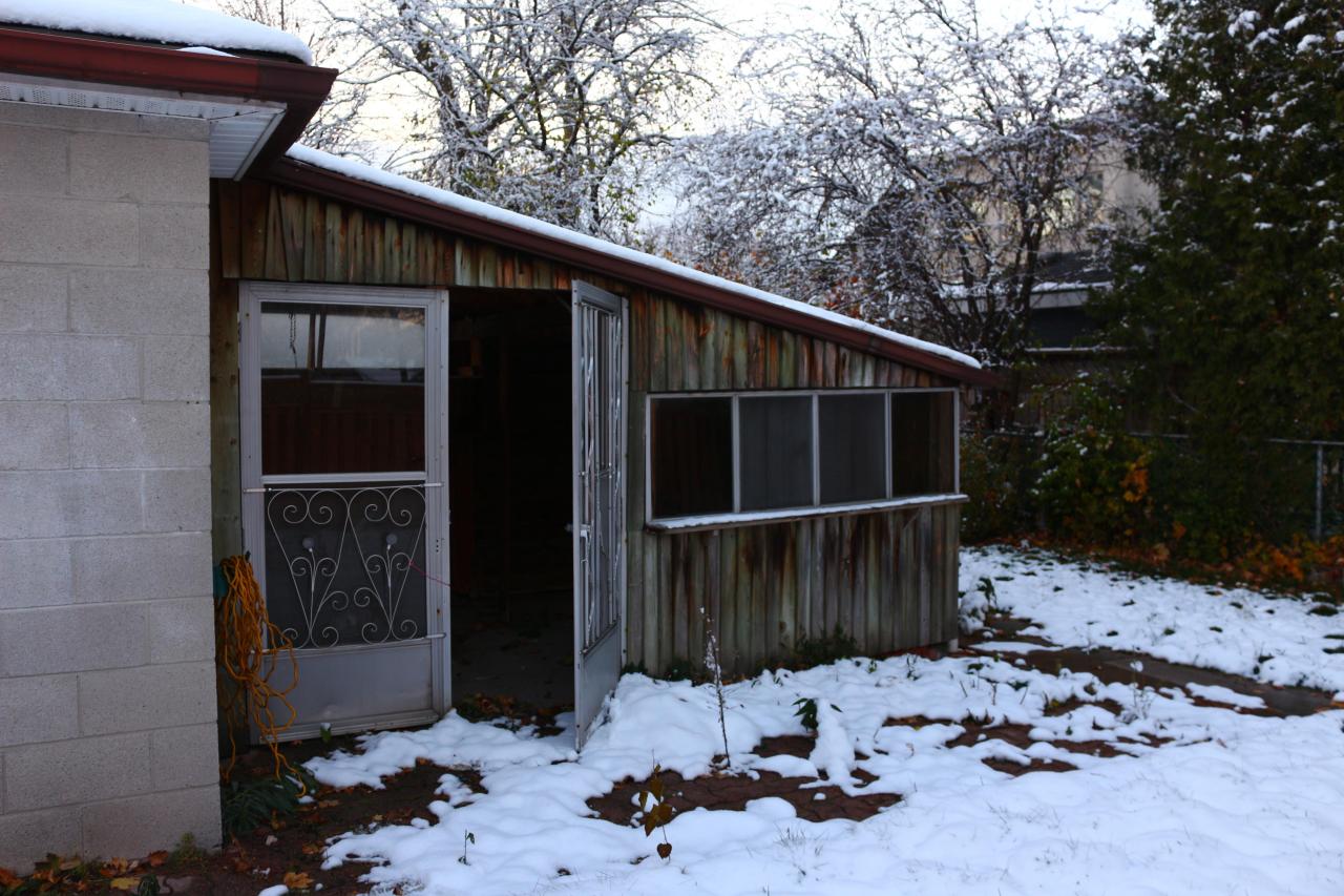 Digging Down - IMG_5923.JPG