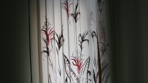 Digging Down - IMG_5932.JPG