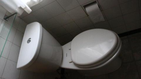 Digging Down - IMG_5956.JPG