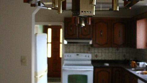 Digging Down - IMG_5965.JPG