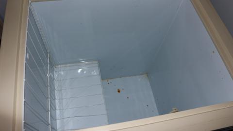 Digging Down - IMG_5976.JPG