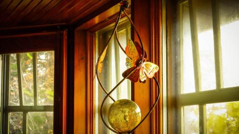 Discovery Visit, 2022 - 002bX-2.jpg