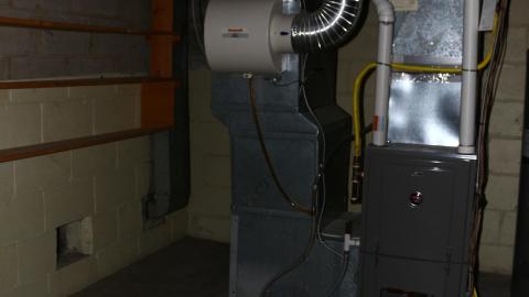 Digging Down - IMG_5997.JPG