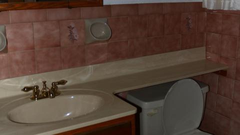 Digging Down - IMG_6000.JPG