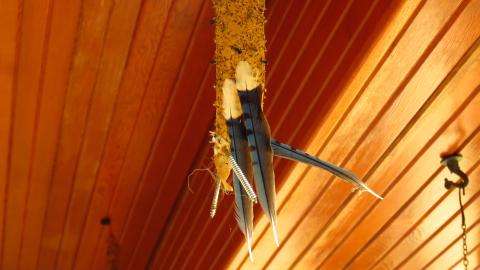 Discovery Visit, 2022 - 009W.jpg