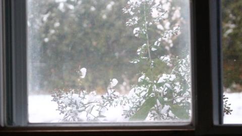 Digging Down - IMG_6006.JPG