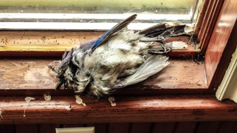 Discovery Visit, 2022 - 010W-2.jpg