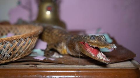 Bikes N Stuff - abandoned bikers house with motorcycles-62.jpg