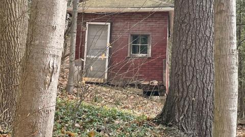 Carsick - signal-2022-11-25-172907_011.jpg