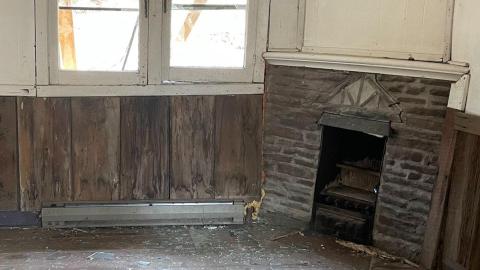 Carsick - signal-2022-11-25-172907_007.jpg