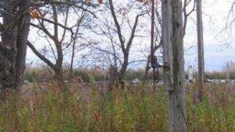 Gallery - Hwy-218.jpg