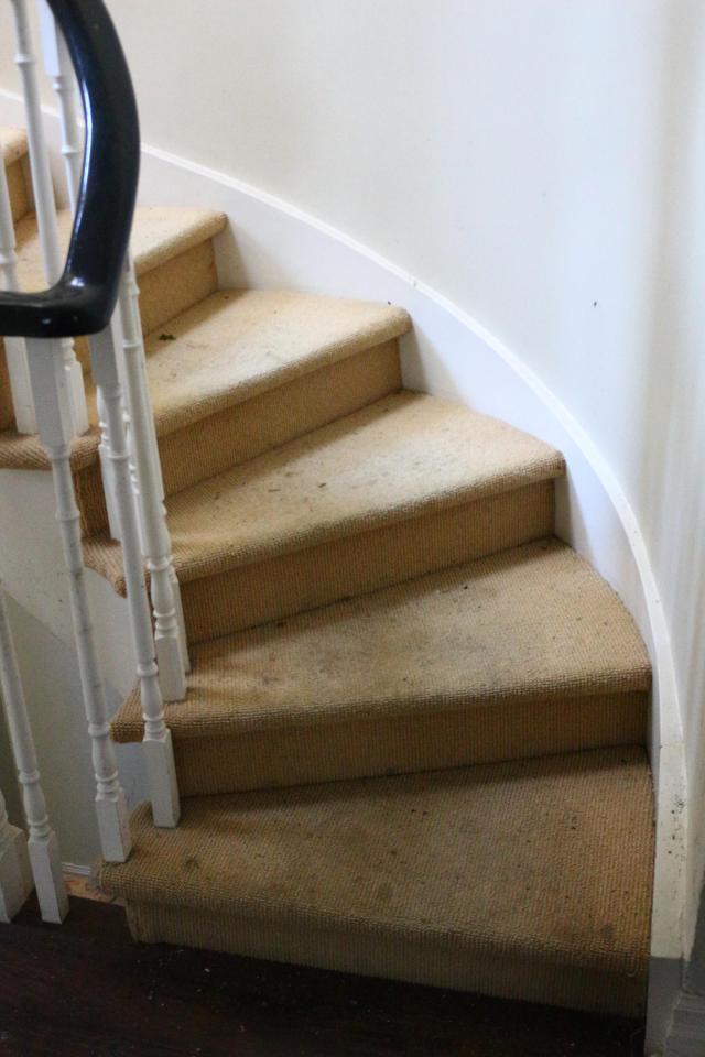 Back. Back Again. - IMG_6193.JPG