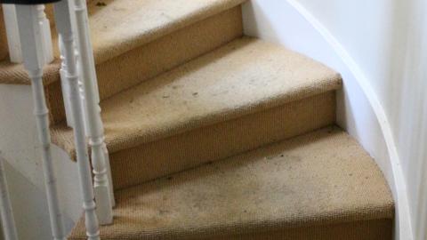 Back. Back Again. - IMG_6193.JPG