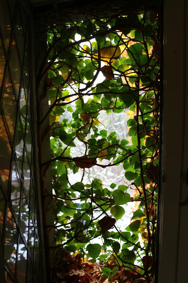 Back. Back Again. - IMG_6210.JPG