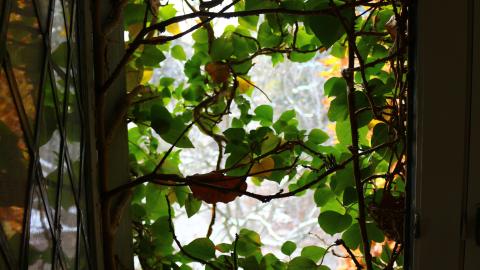 Back. Back Again. - IMG_6210.JPG