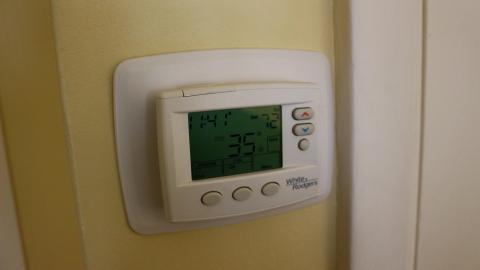 Back. Back Again. - IMG_6211.JPG