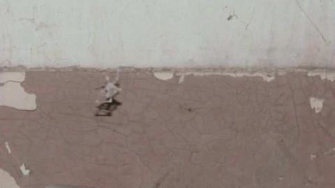 Risky Adventure - IMG_3594.jpg