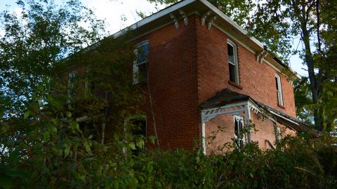 And Here's To You Mrs Robinson - October 2014 / June 2015 - 2.jpg