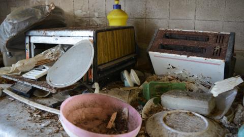 And Here's To You Mrs Robinson - October 2014 / June 2015 - 7.jpg