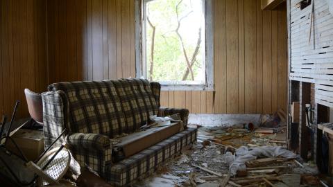 Photo from And Here's To You Mrs Robinson - October 2014 / June 2015