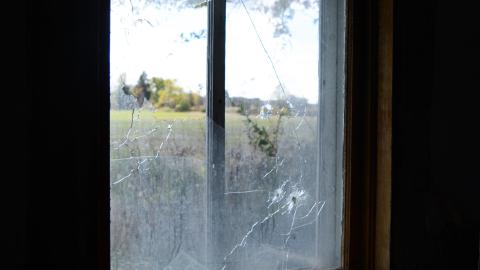 And Here's To You Mrs Robinson - October 2014 / June 2015 - 21.jpg