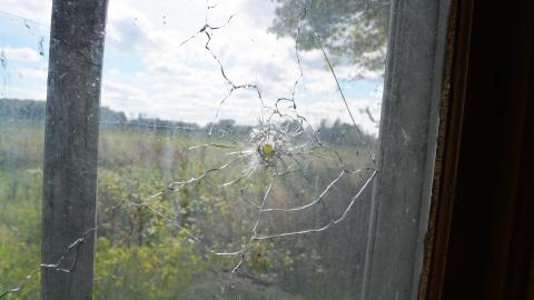 Photo from And Here's To You Mrs Robinson - October 2014 / June 2015