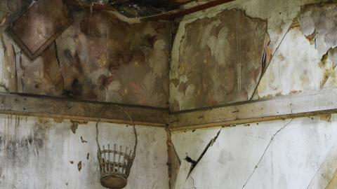 And Here's To You Mrs Robinson - October 2014 / June 2015 - 28.jpg