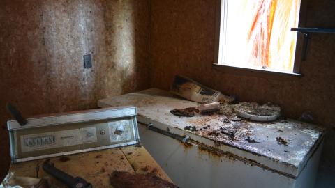 And Here's To You Mrs Robinson - October 2014 / June 2015 - 36.jpg