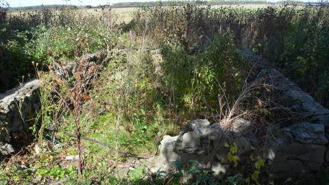 And Here's To You Mrs Robinson - October 2014 / June 2015 - 39.jpg