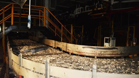 3 Visits - September 2015 - January 2016 - DSC_0062.jpg