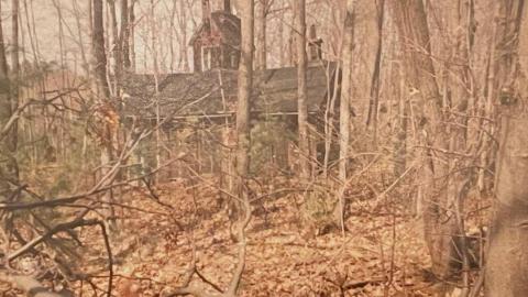 Before and After - 1970s v. 2010s - 8BEC5309-152B-47D4-B9FA-D6A4AE2638DE.jpeg