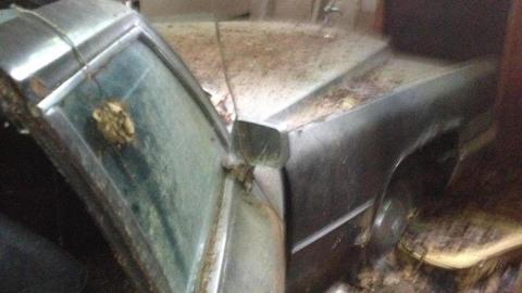 Before and After - 1970s v. 2010s - BD98906E-41F7-43FA-800C-B7B01F48E650.jpeg