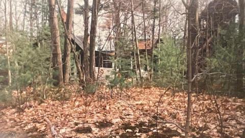 Before and After - 1970s v. 2010s - 377B9AB5-7069-4CD4-96BB-39E74F2BA05A.jpeg